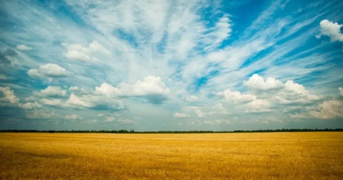 Hodowla koni: rolnicza czy działy specjalne? Podatki bez tajemnic.