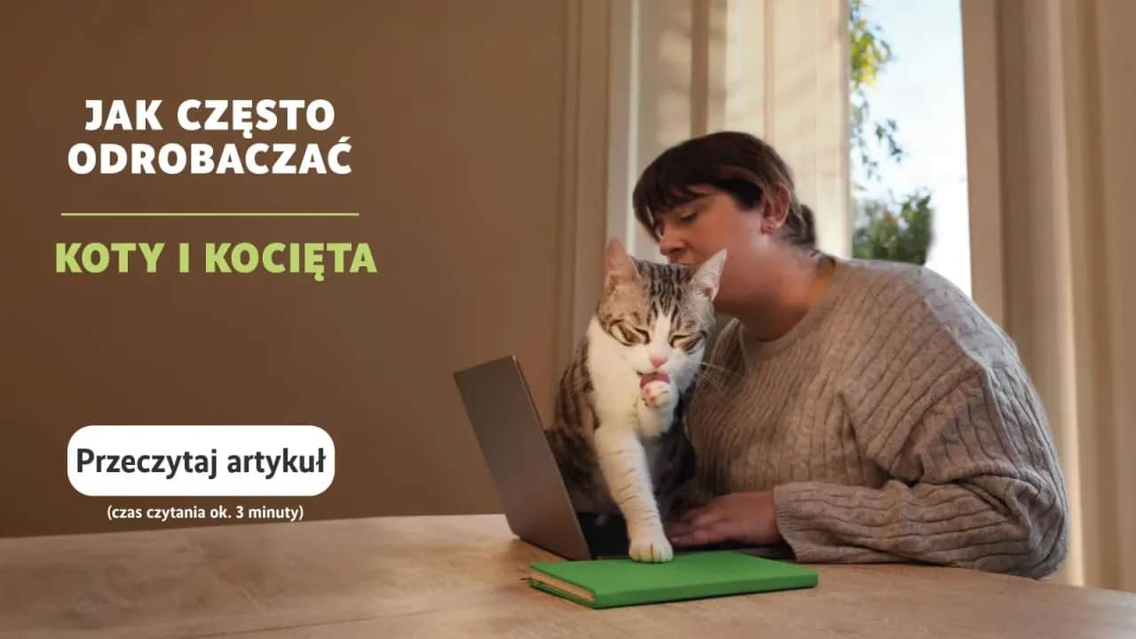 Odrobaczanie kota: Ile trwa i jak skutecznie chronić pupila?