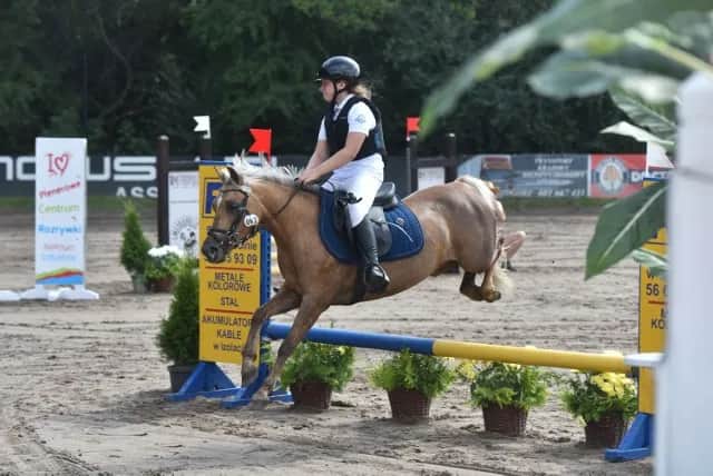 Stadnina Koni Kaszczorek Toruń: oferta, cennik Twój przewodnik