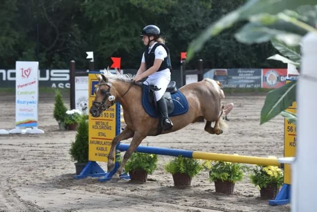 Stadnina Koni Kaszczorek Toruń: oferta, cennik Twój przewodnik