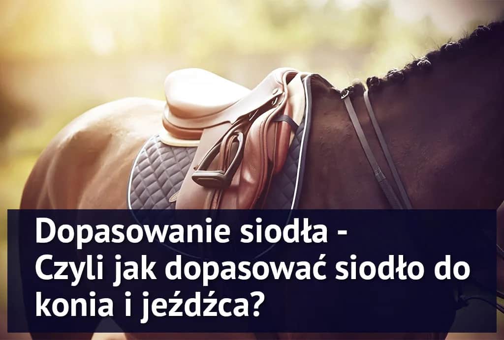 Twój koń cierpi? Jak prawidłowo dopasować siodło krok po kroku