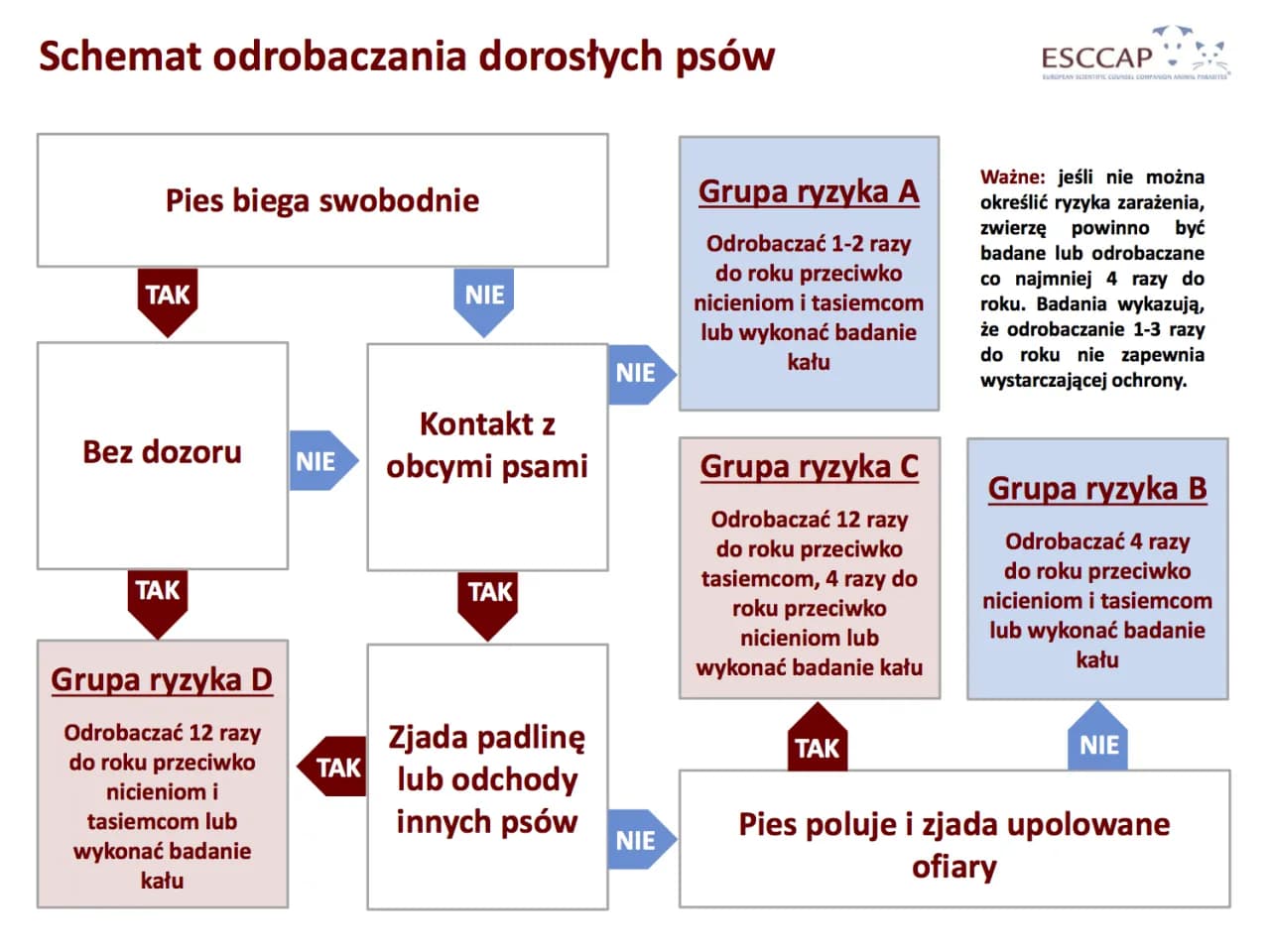 Odrobaczanie szczeniaka: Kompletny harmonogram i porady eksperta