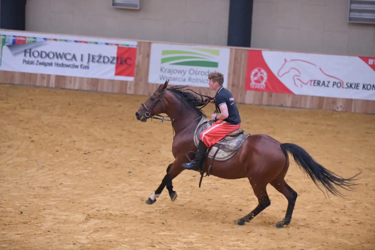 Studia hipologiczne: Gdzie w Polsce rozwijać pasję do koni?