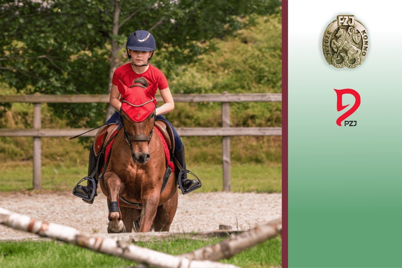 Odznaki jeździeckie PZJ: Jak zdać egzamin? Wymagania, porady