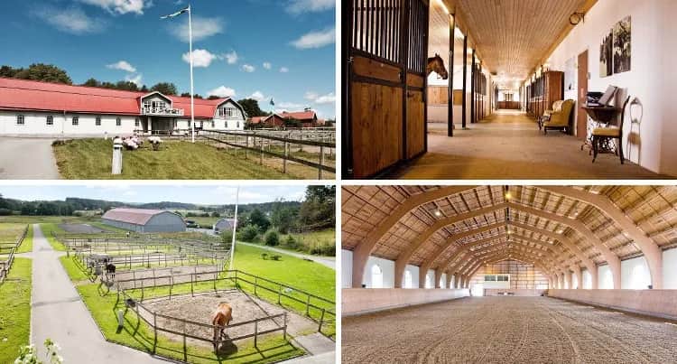 Stadnina koni na sprzedaż: Kompleksowy przewodnik dla inwestora