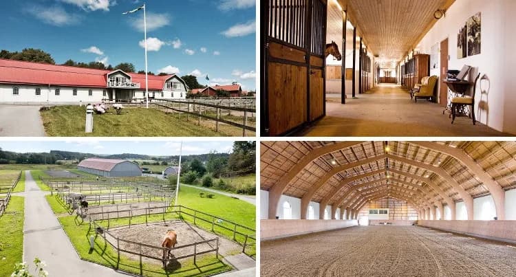 Stadnina koni na sprzedaż: Kompleksowy przewodnik dla inwestora