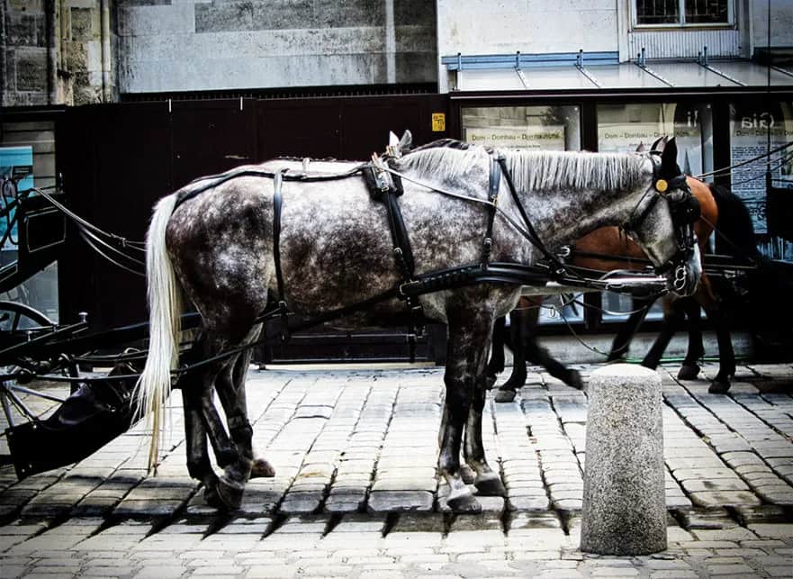 Łaska pańska na pstrym koniu jeździ: Co naprawdę oznacza?