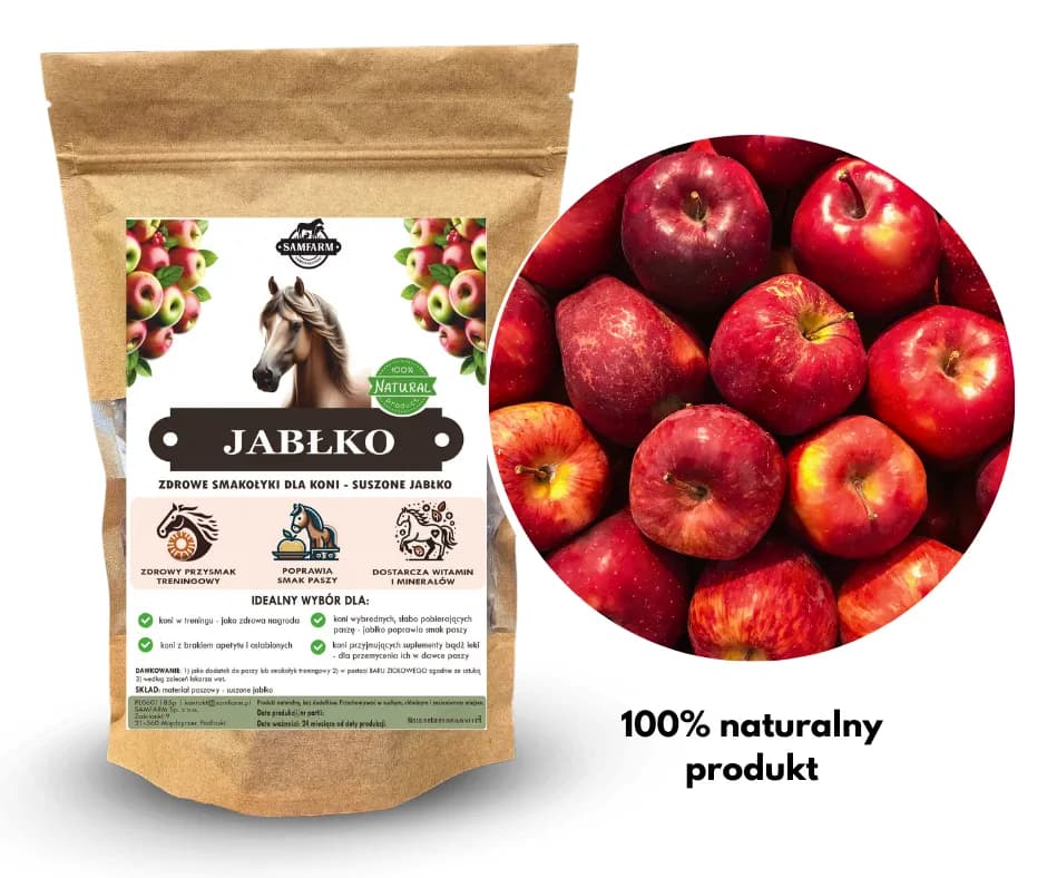 Jakie owoce i warzywa dla konia? Bezpieczne smakołyki i zakazy