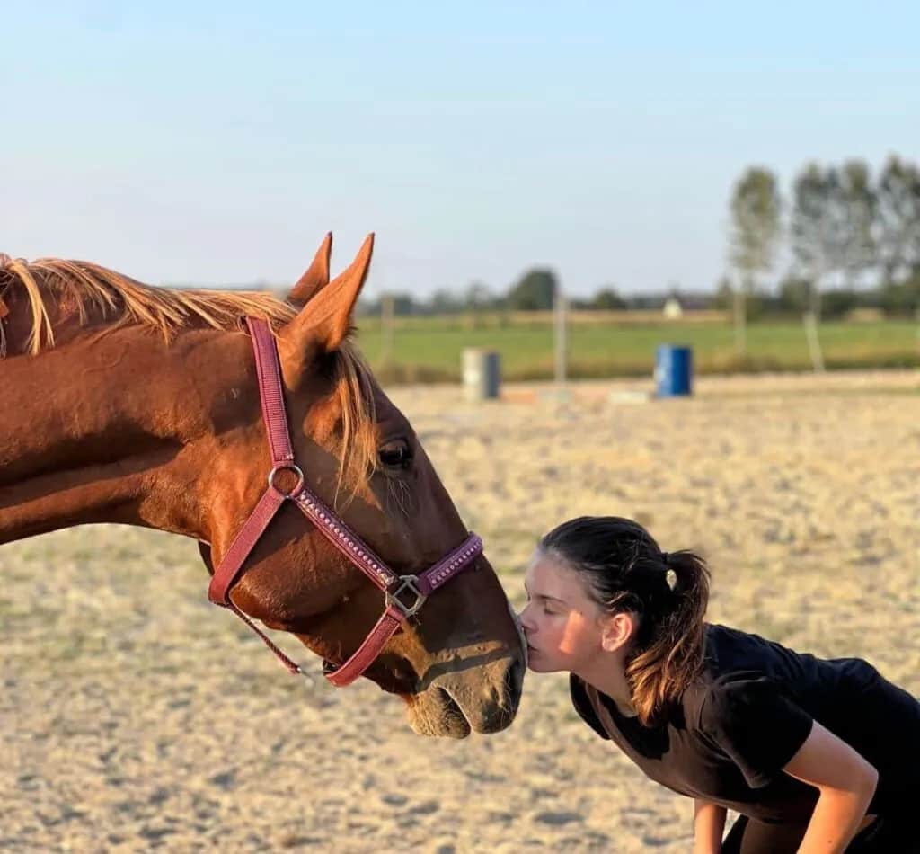 Jeździectwo naturalne: Książki, które zmienią Twoją relację z koniem