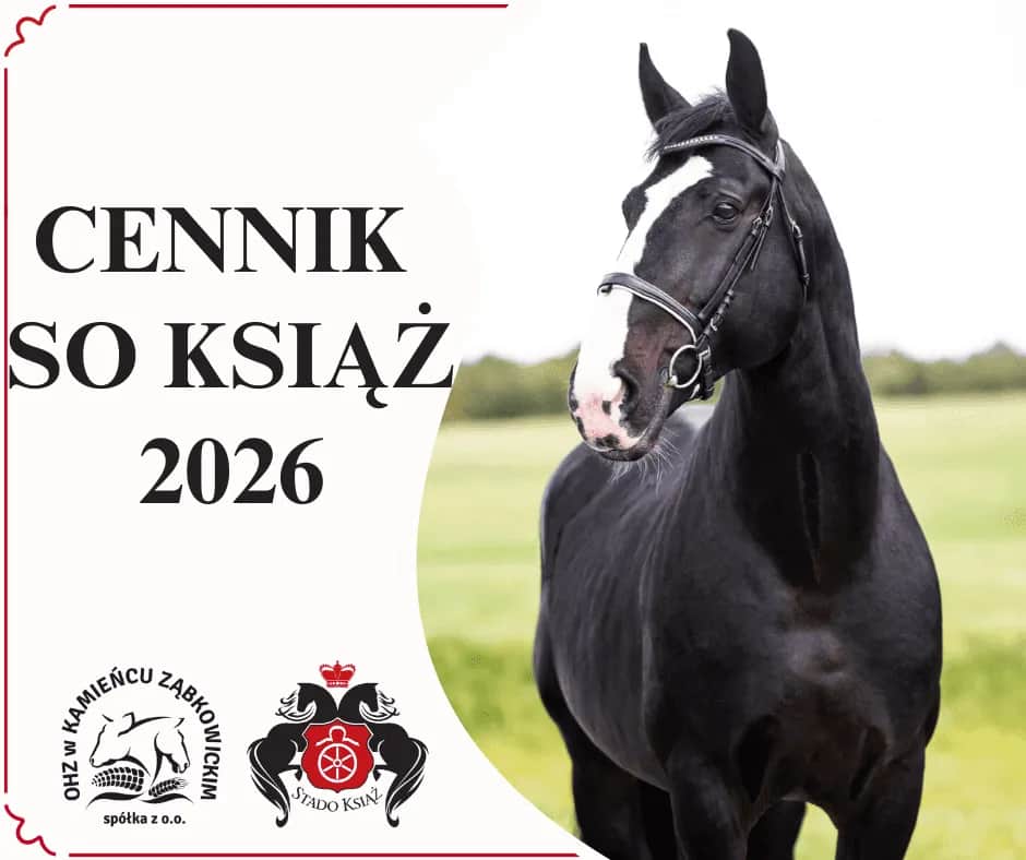 Stado Ogierów Książ: serce koni śląskich planuj wizytę!