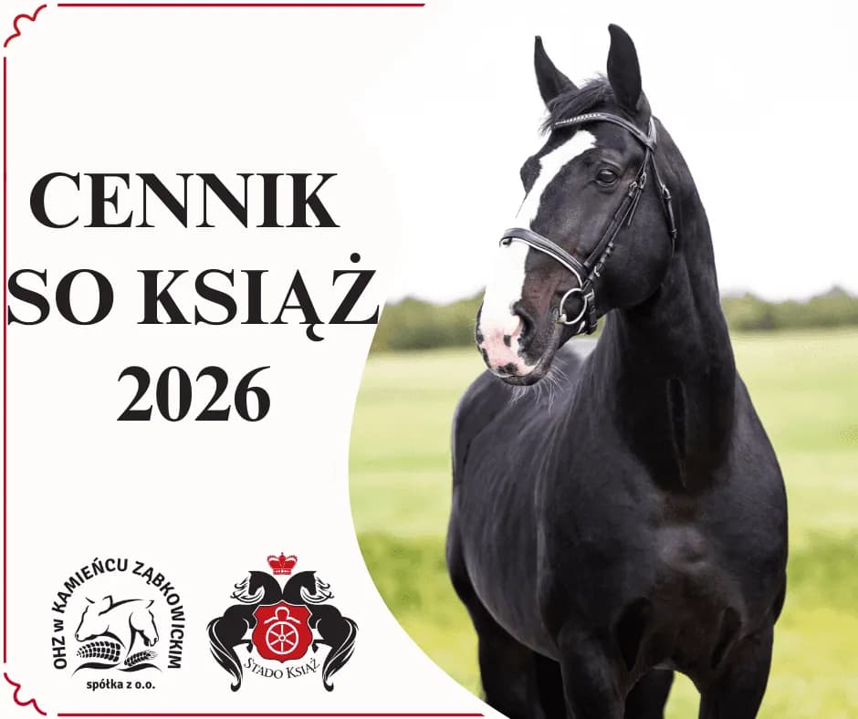 Stado Ogierów Książ: serce koni śląskich planuj wizytę!