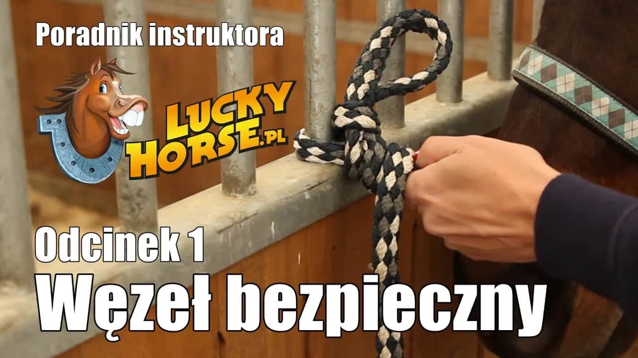 Jak zrobić lizawkę dla konia? Bezpieczny przepis krok po kroku