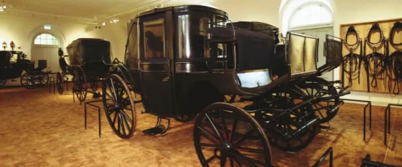 Muzeum Łowiectwa i Jeździectwa: Bilety, godziny, dojazd Planuj łatwo!