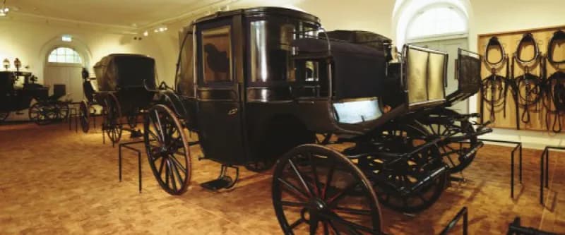 Muzeum Łowiectwa i Jeździectwa: Bilety, godziny, dojazd Planuj łatwo!