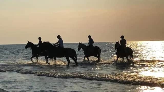 Jazda konna Łeba i Nowęcin: Najlepsze stadniny, ceny, plaża!