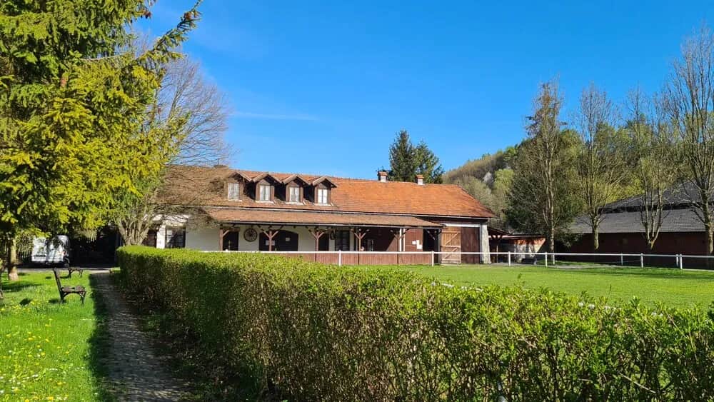 Stadnina Koni Botoja: Pełna oferta i opinie Twój przewodnik