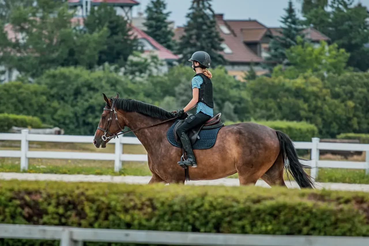 Ile kosztuje weterynarz dla konia? Cennik usług 2026