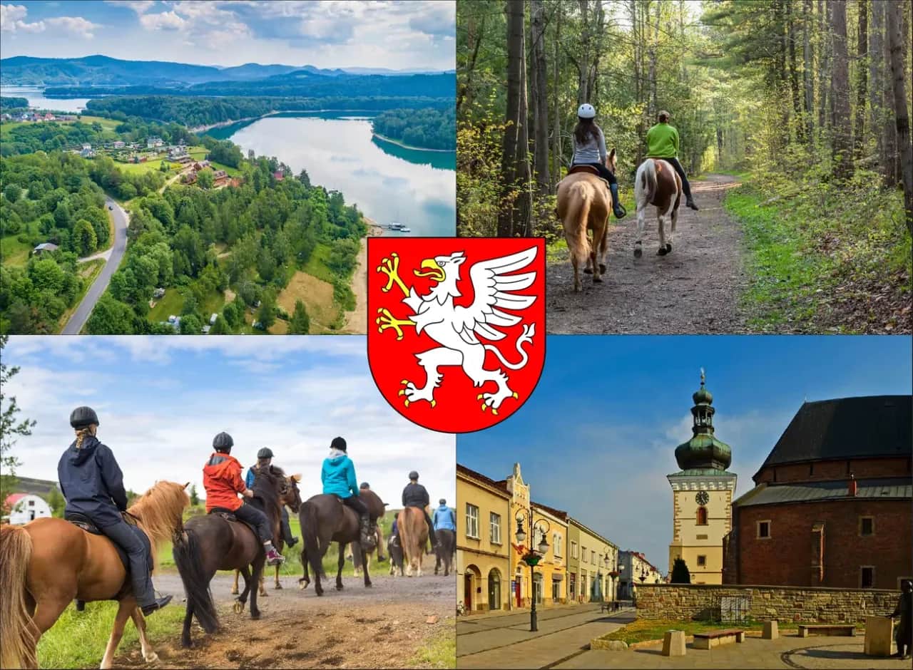Jazda konna Dębica: Gdzie, ile, dla kogo? Pełny przewodnik